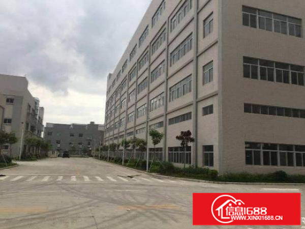 沥林镇全新红本标准厂房36000平方原房东