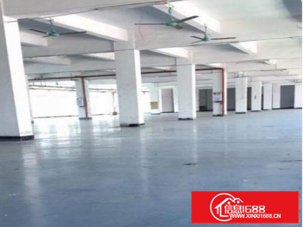 好消息！好消息！清溪新出标准楼房二楼2300平厂房出租