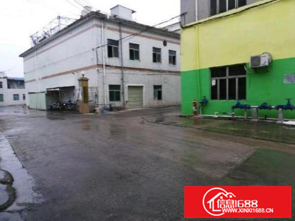 平湖良安田厂房一楼300、980平冻库配送