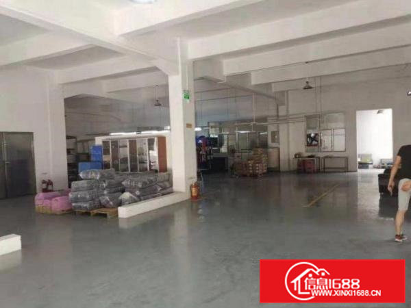 隔坑新出标准一楼450平米厂房出租