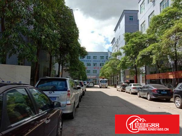 秋长新塘工业园标准厂房出租一楼1000平方