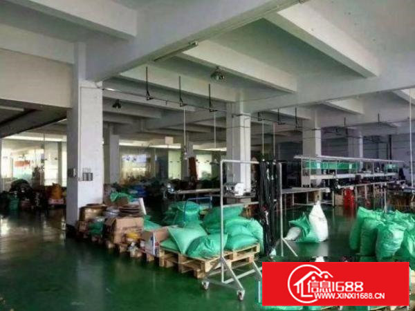 桥头邵岗头新出楼上900平方带装修厂房出租