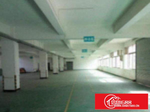 万江工业区新出标准楼房1500平米二楼厂房出租