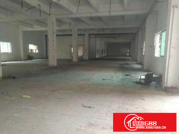 黄江玉堂围附近新出1100平超大空气厂房