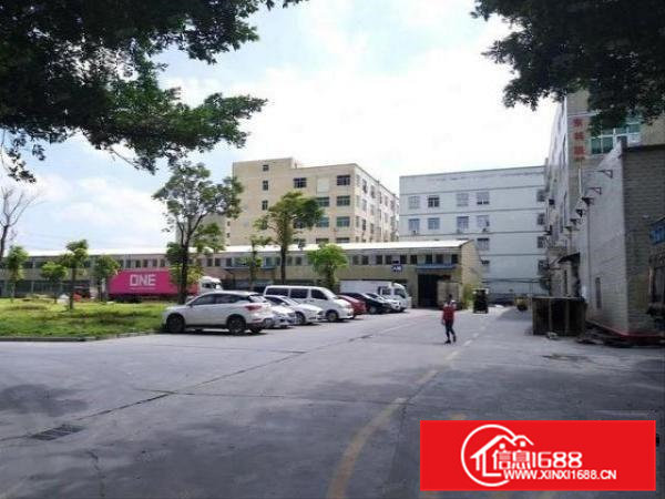 石排村水电到位楼上1250平方精装修厂房出租