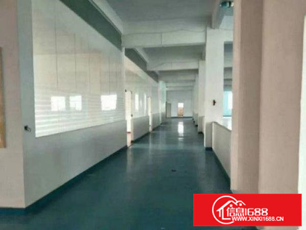 常平桥沥超靓独院厂房三楼1300平方带装修