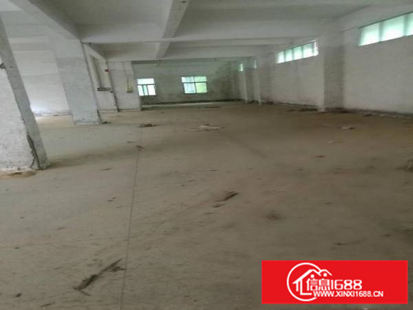 龙岗坪地新出1楼500平厂房出租