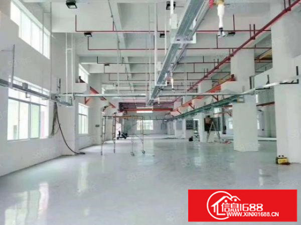 厂房龙岗坪地2000平一楼标准厂房，层高6.5米，带消防喷淋