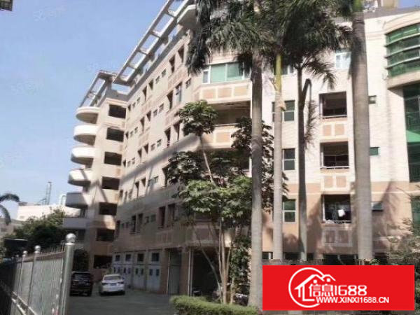 六约珠宝厂房可办环评500到1500平，免租期两个月