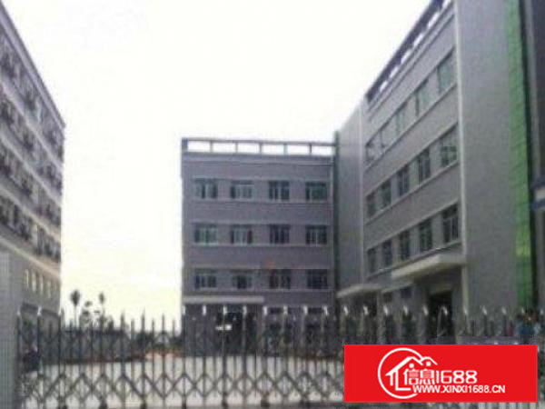 高埗独院标准厂房一楼1100平方出租