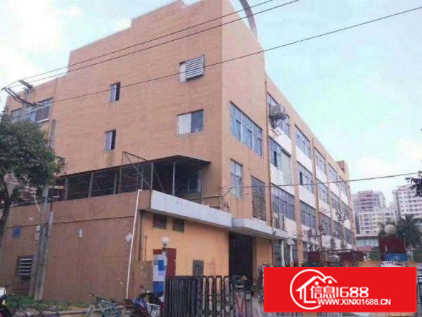 横岗四联楼上豪华装修850平个人厂房出租，可分租