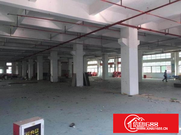 公明玉律新出标准一楼2200平米出租带装修