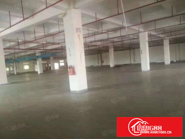 独院可办环评电大容桂标准4000方厂房出租