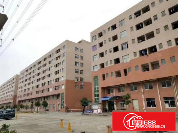 大岭山杨屋主干道边新出无尘车间2000平米厂房招租，可分租