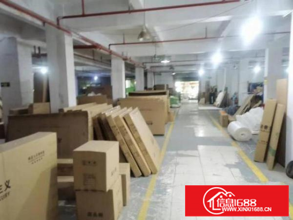 乐从新隆工业园区独院厂房出租12000平方