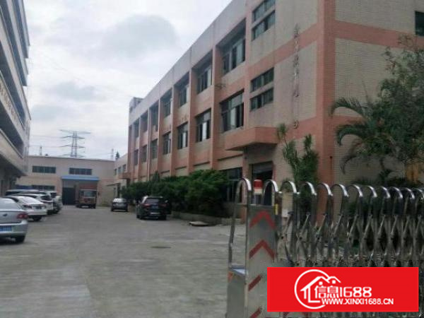 万江5000平方标准独院3层花园式厂房招租大货车可进出