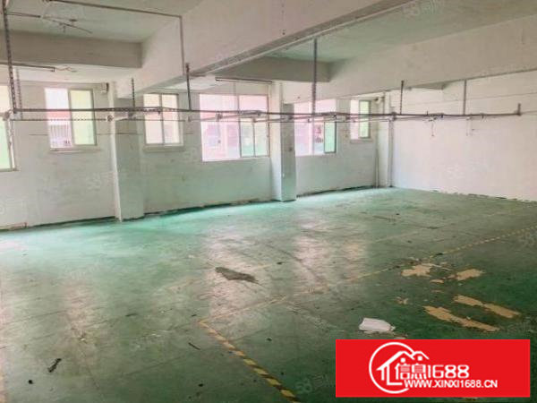 观澜观光路边新出楼山240平，租带17白菜价格，欢迎来电。