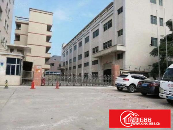 桥头田头角新出独院厂房3层4600平出租可分租带装修