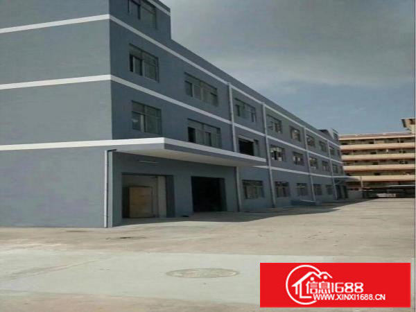 坪地坪东原房东楼上1500平精装