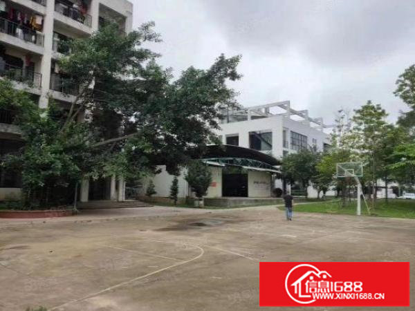 可短租带卸货平台10元红本钢构厂房500平米起分坪山中心位置