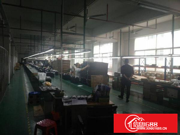 凤岗镇金凤凰惊现豪华装修水电现成无转让费厂房出租