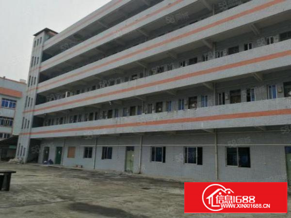 热门石排独院厂房出租厂房4800宿舍2200