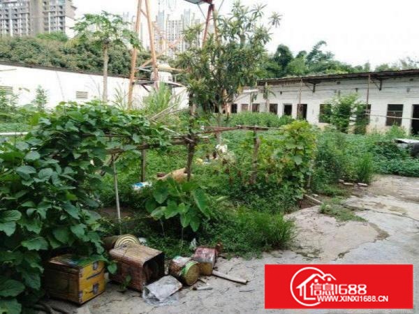 秋长独门独院4000平标准厂房整租送400平钢构