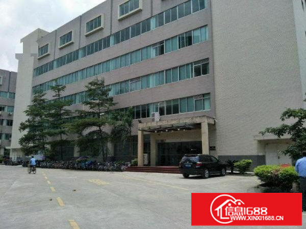 龙岗坪地一楼350评分出租带装修