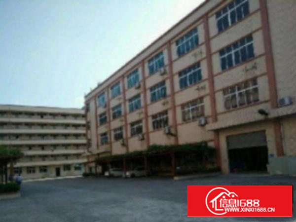 万江石美中心地段一6米仓库厂房出租910平米