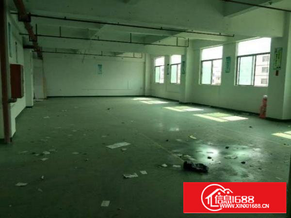 西乡新工业区放租，超长合同200平起租