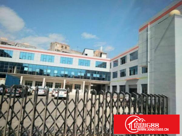 横岗安良新出原房东独院一楼整层1200平招租高5米