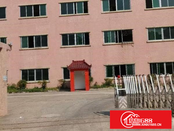 横沥成熟工业园区超大空地标准独院11000平方出租