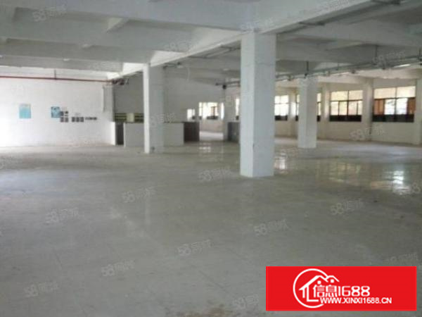 万江新出独院厂房三层3000平方，可办环评，形象超好