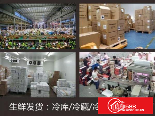 出租布吉南岭冷库，配套快递2元起发全国，仓储打包代发货服务