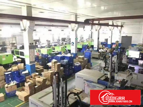 原房东新出一楼1500平方米，实际面积，带现成行车，可分租