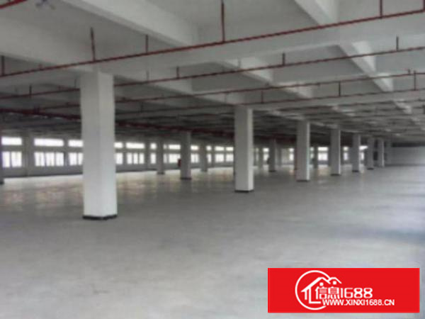 万江形象漂亮很干净一楼3000平方厂房出租