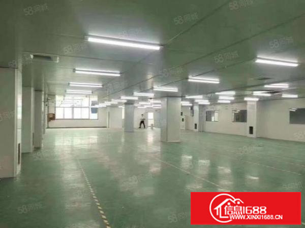 公明光明长圳900平西乡靠石岩豪华装修厂房招租可分租办环评