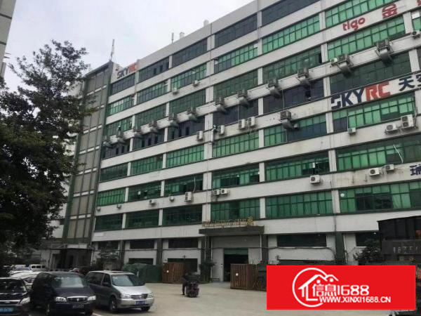 坂田地铁口新出1200平电商贸易厂房带装修招租