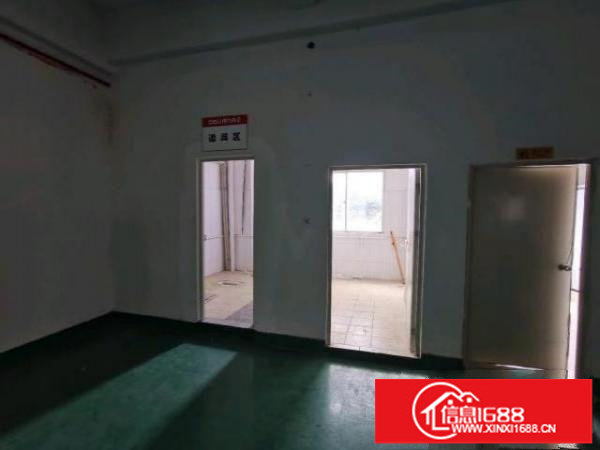 龙华大浪主干道旁新出楼盘面积1200平，独门独院，整层可分。