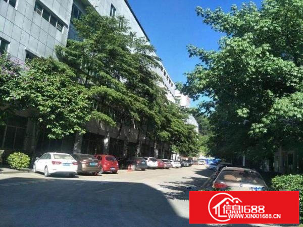 布吉李朗高新科技园200一6000平大小面积厂房