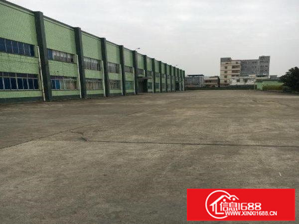 龙岗独门独院钢构厂房20000平出租大小分租