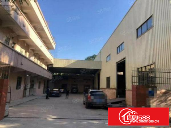 石排厂房出租独院厂房分租今日更新