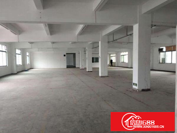 大康新出楼上1000平，价格15，大小分租，带办公室