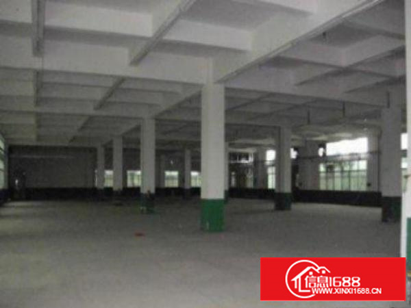 万江花园式厂房分租一楼1200平方出租有装修好的办公室，水电