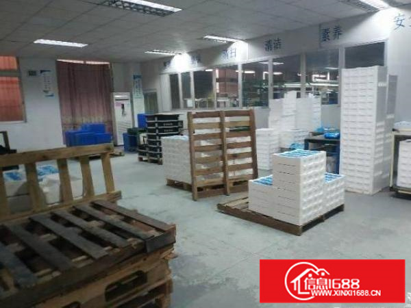 惠州仲恺区原房东一楼标准厂房出租带豪华装修