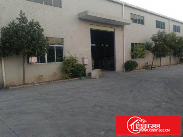 常平金美独院单一层钢构厂房1300平有大面积空地