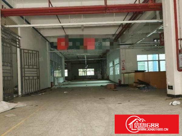 长安宵边新出独院3800平方，靠近深圳，大小可分租，水电齐全