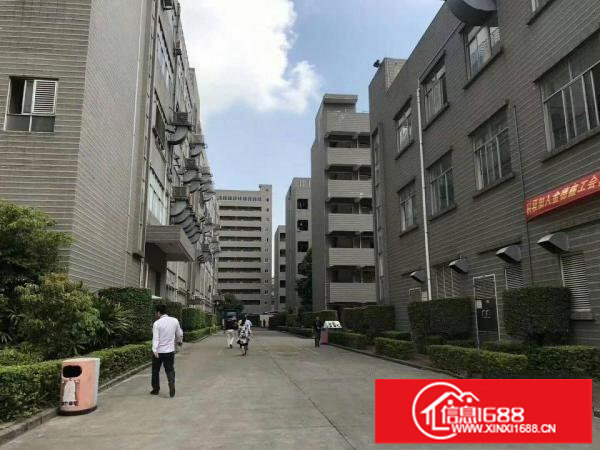 观澜梅观高速出口全新厂房出租，大小可分