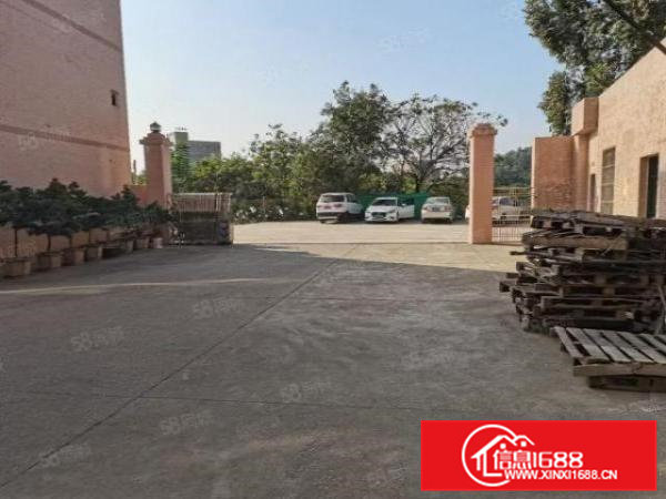 独门独院6000平标准厂房带豪华装修