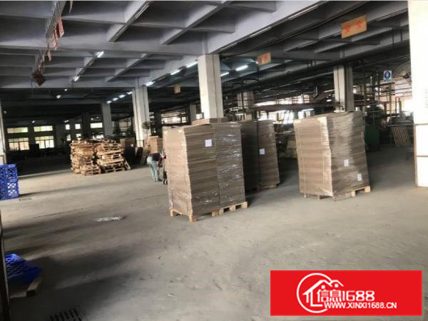 大岭山新出标准厂房13层5000平方可办环评